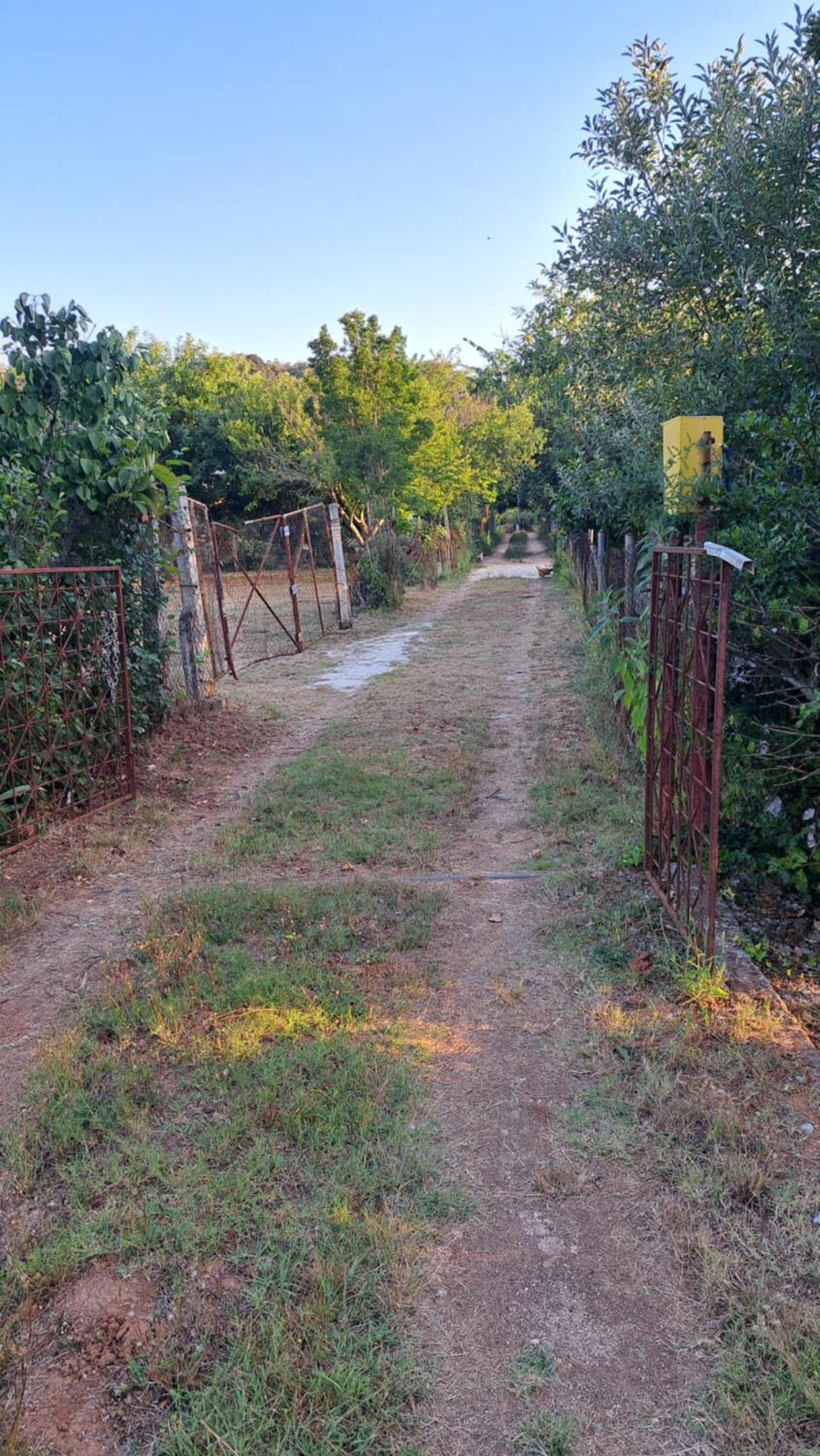 Kuca Za Odmor Mizi Villa Vintijan Buitenkant foto